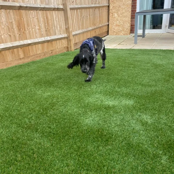 Artificial Grass for Gardens